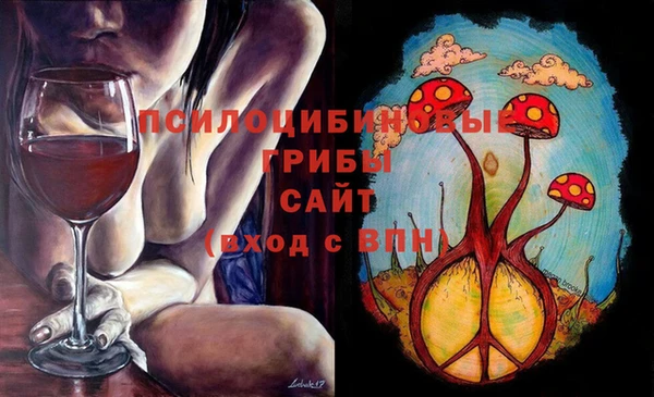 прущие грибы Навашино