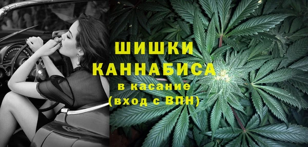 крисы Нея