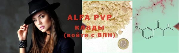 гидра Надым