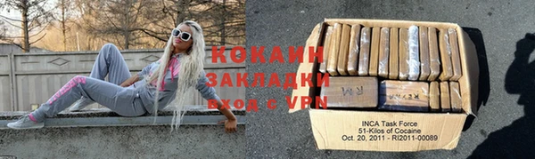 гидра Надым
