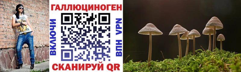 сколько стоит  Сосновоборск  Галлюциногенные грибы Psilocybe 