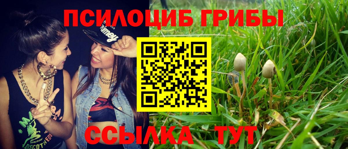 Сосновоборск  Галлюциногенные грибы мухоморы  Вход с VPN 
