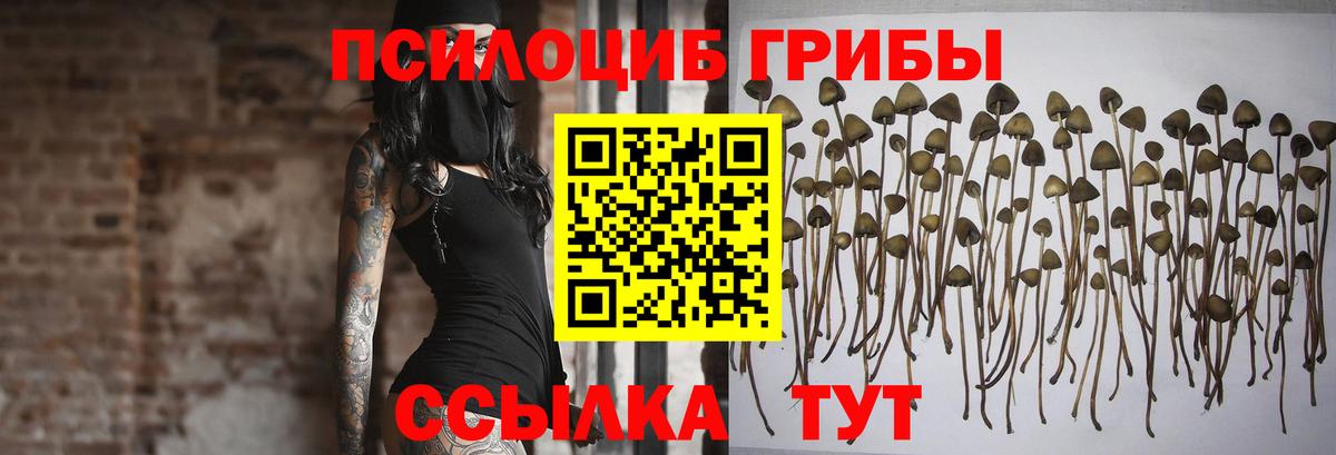 Псилоцибиновые грибы GOLDEN TEACHER Сосновоборск